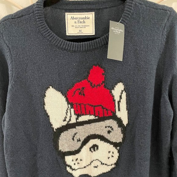 NWT!! A&F Knit Dog Sweater - Picture 2 of 3